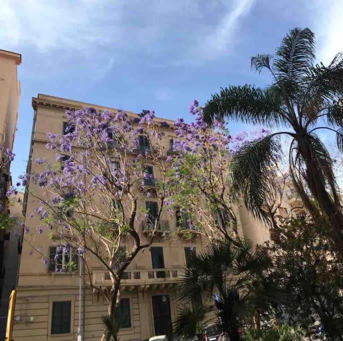 Bibi Appartamento A Due Passi Dal Tribunale Centro Palermo Eksteriør bilde